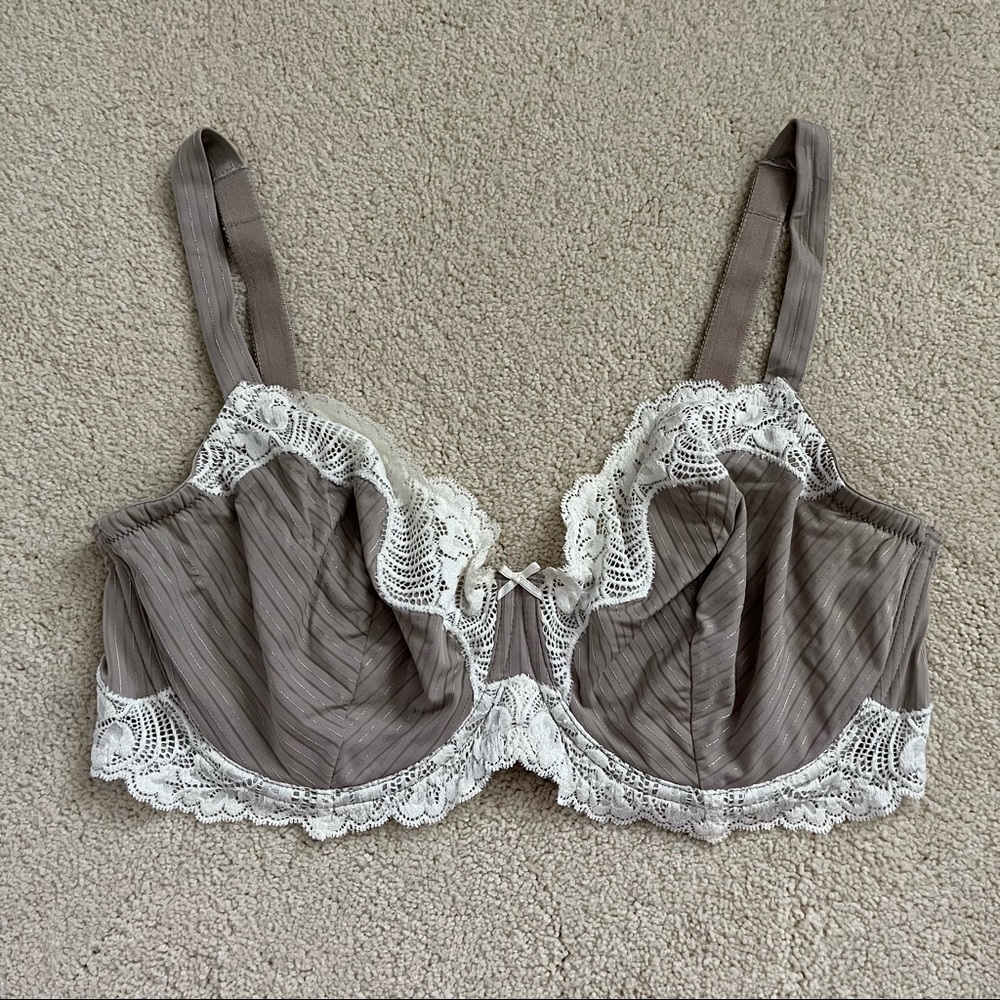Felina Paramour Stripe Delight Full Figure Underwire Unlined Bra 38DDD